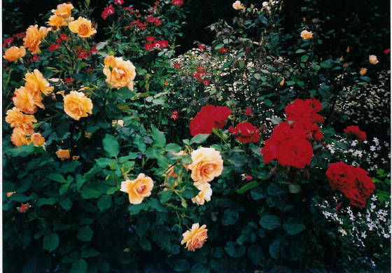 powiscastelgarden2003.jpg