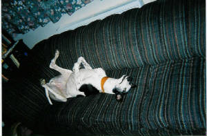 scan0001.jpg